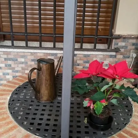 Apartamento Toneles *