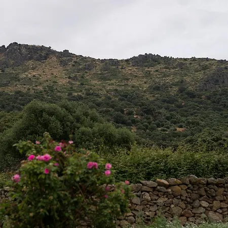 Διαμέρισμα Toneles *